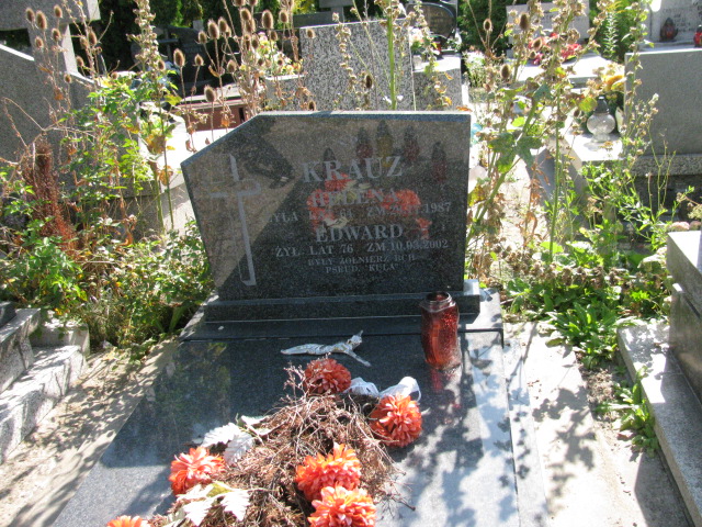 Grób Tadeusz Krauz