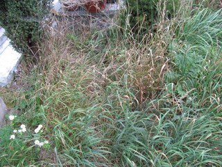 Grób Dziecko Szymanek