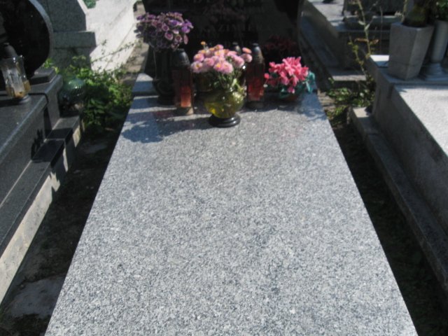 Grób Tadeusz Dewidz