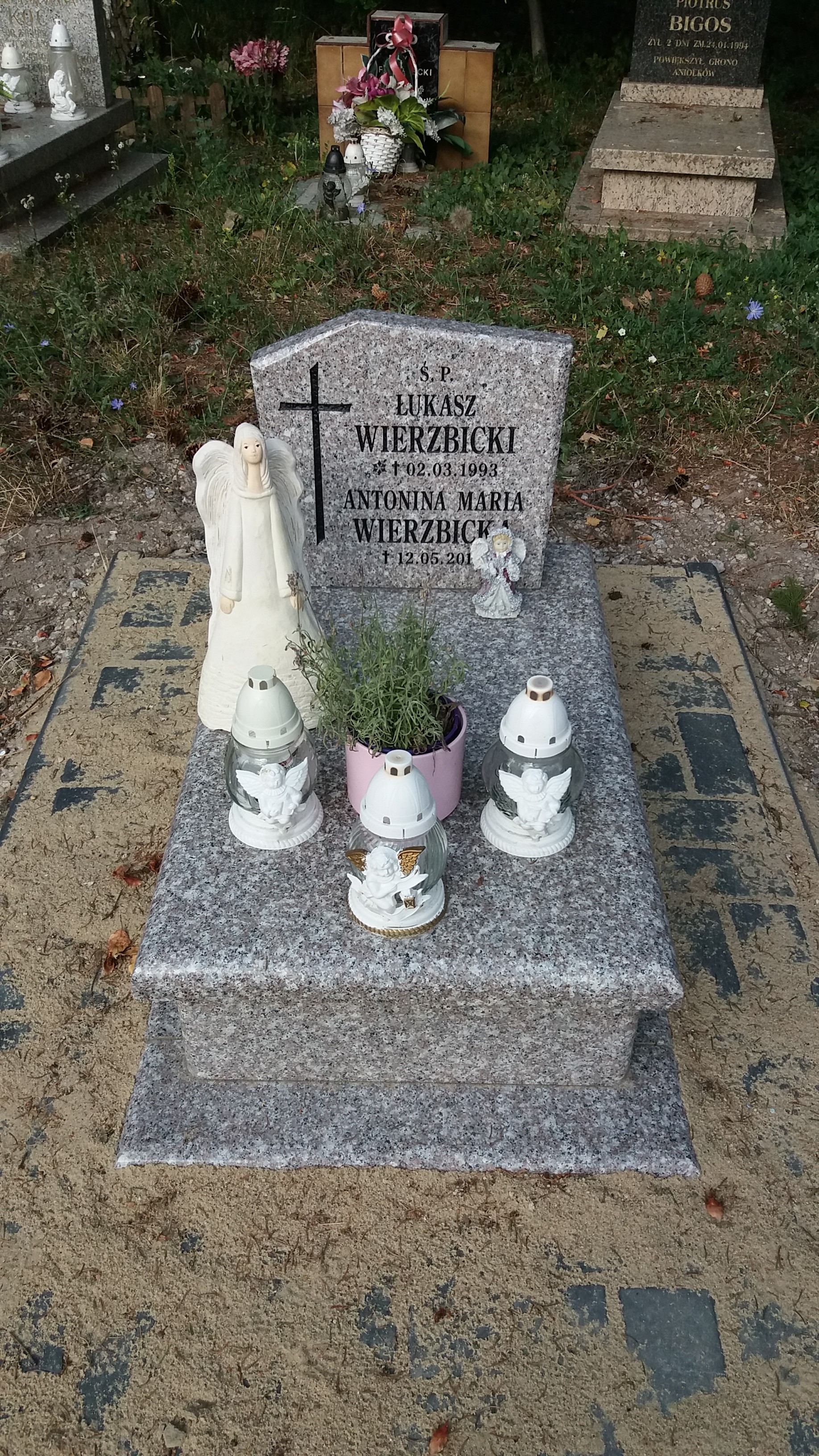 Grób Klara  Wierzbicka