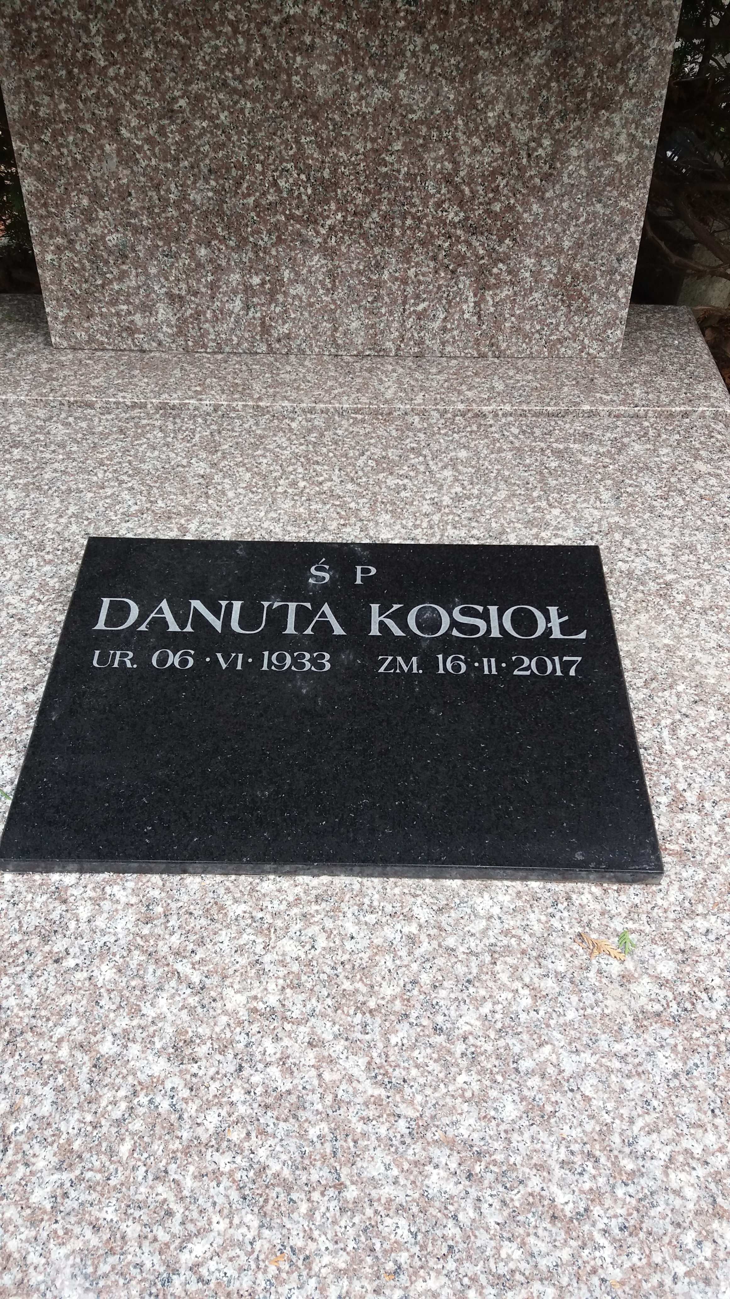 Grób Ryszard Kosioł