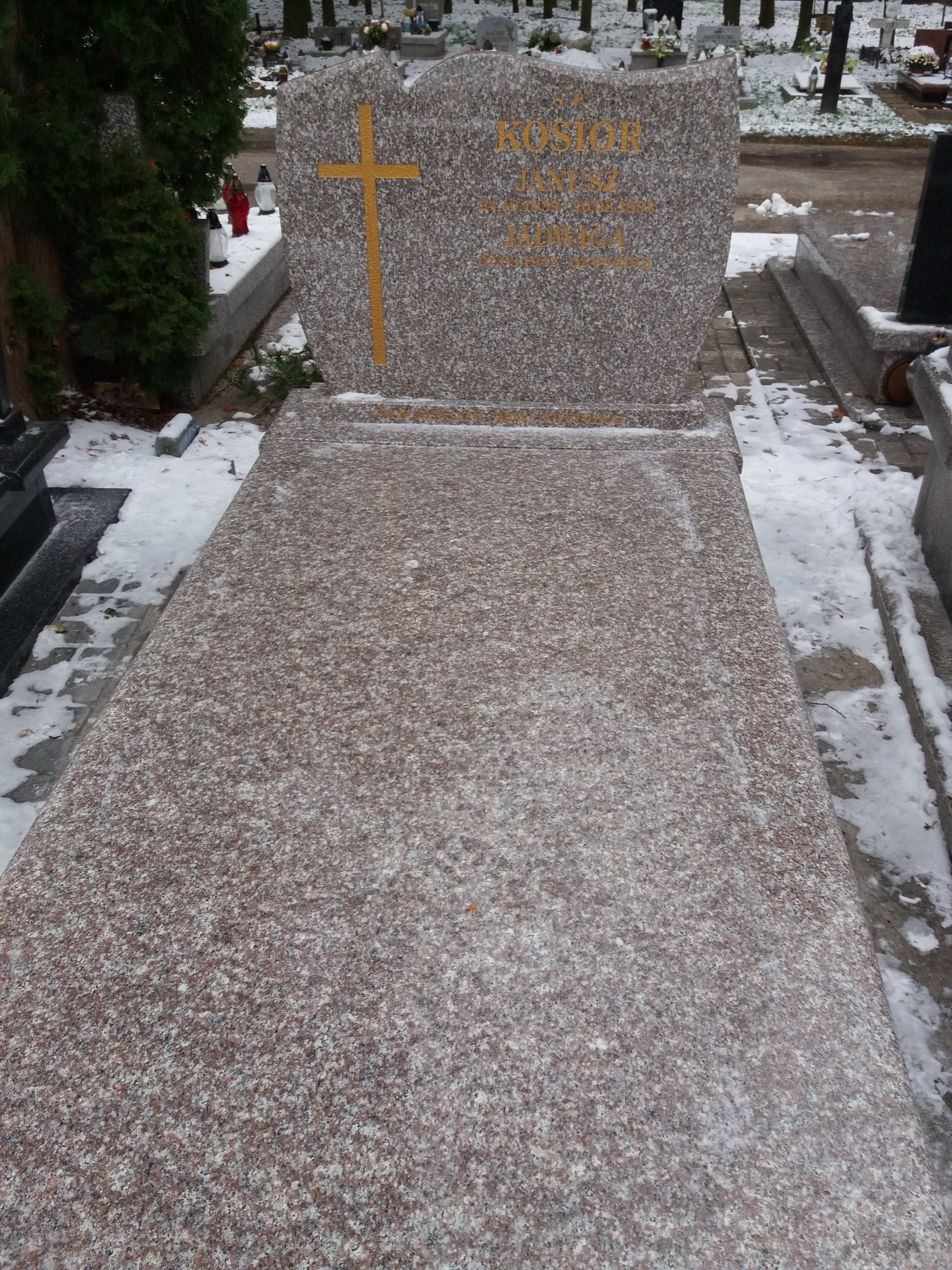 Grób Janusz Kosior