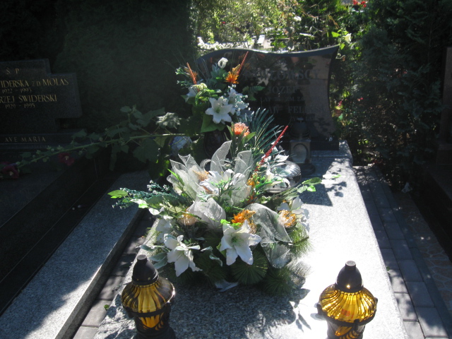 Grób Albin Bartkiewicz