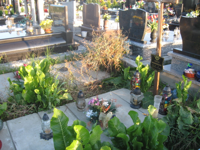 Grób Józef Pietrzak